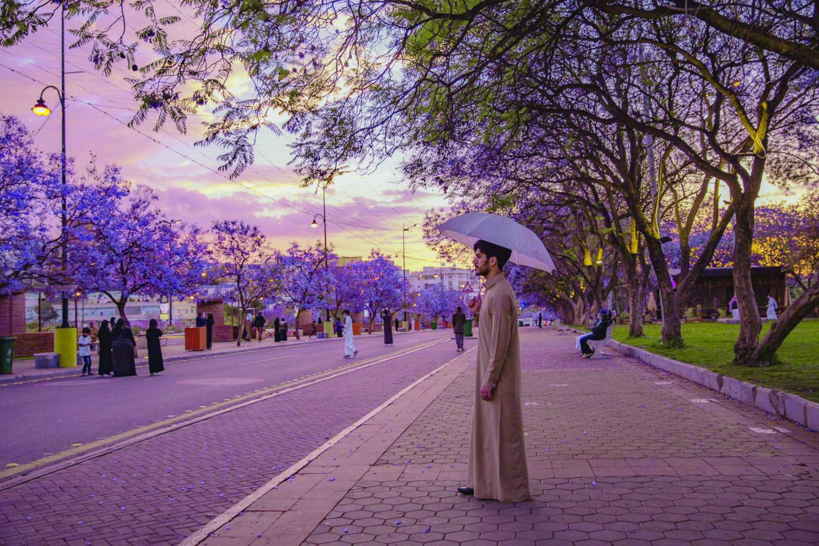 Project Saudi Green Initiative