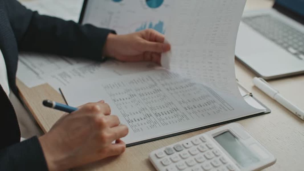 business license cost